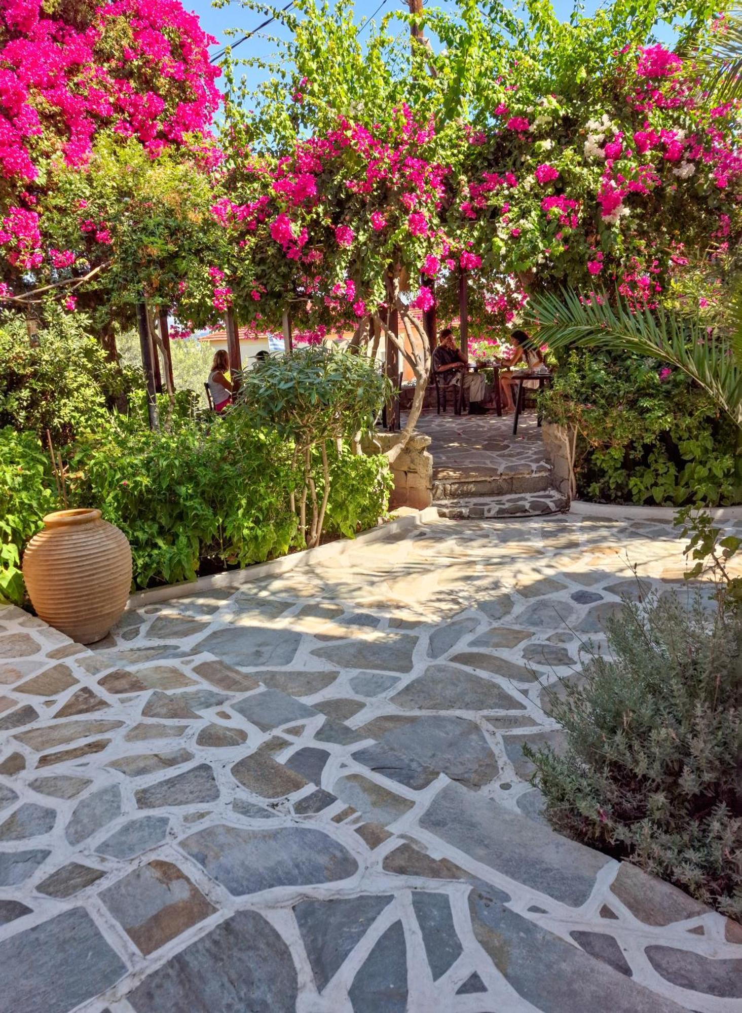 Vagia Traditional, Aegina Island Exterior foto