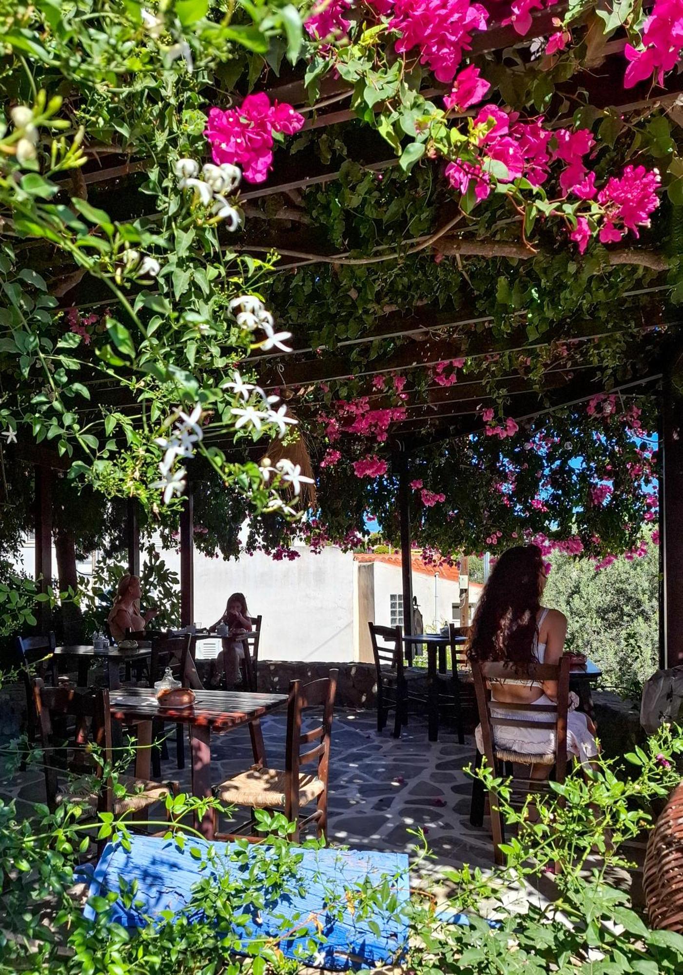 Vagia Traditional, Aegina Island Exterior foto